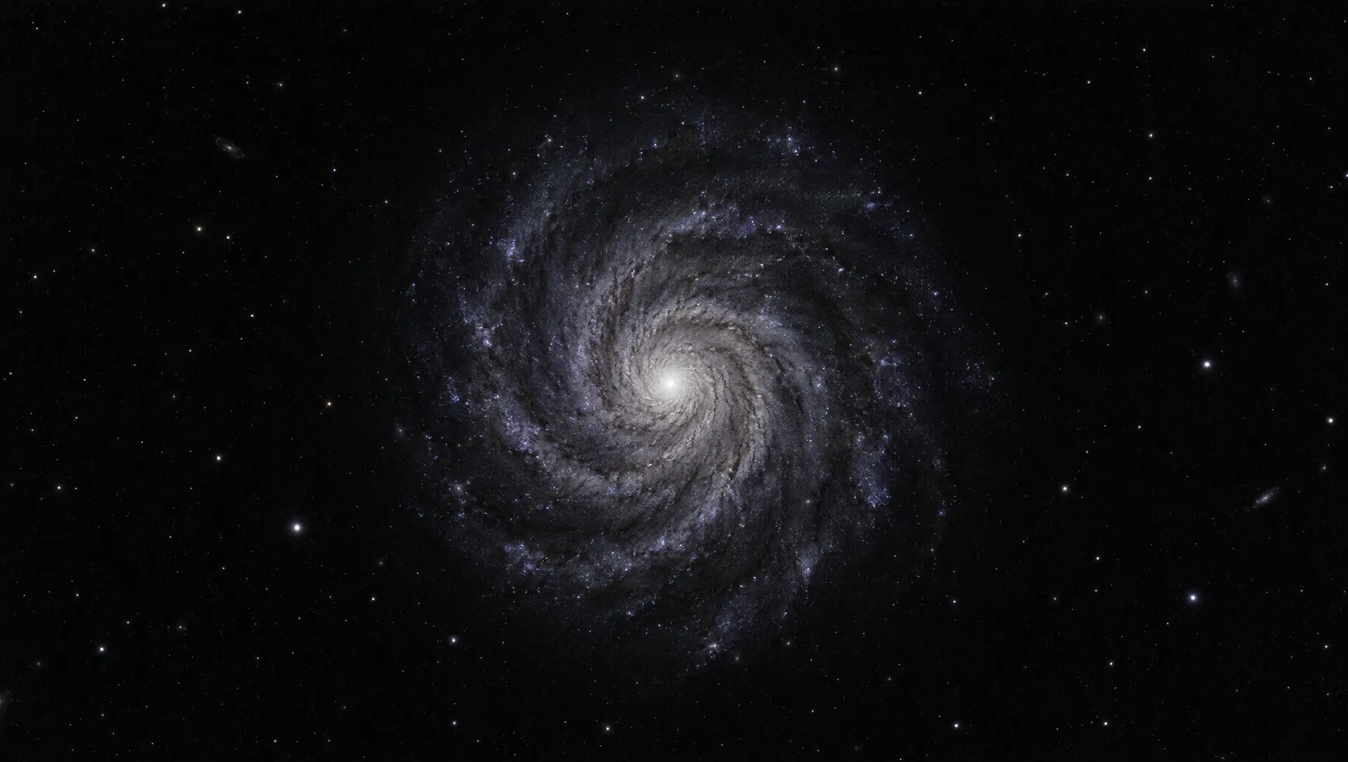 A spiral galaxy seen face-on, its core where the pupil was.